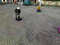 videos de Pusa na špacíru