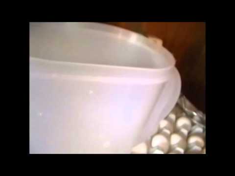 how to float test an egg