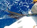 Woody's Sailfish