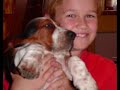 Cidji, mon jack russell Cidji, mon jack russell