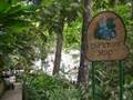 Jamacia