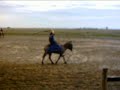 donkey-riding.html