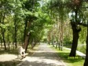 buzau romania parcuri buzau romania parcuri