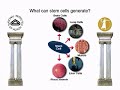 regenerative medicine: pathways to cure   version 2 0