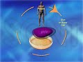 regenerative medicine: pathways to cure   version 2 0