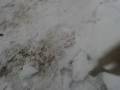 taylor snowmobile jump 3