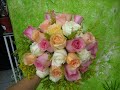 wil flores catanduva wil flores catanduva