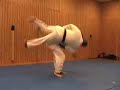 Medley of Throws - Mario & Rich