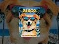 Bingo