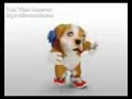 Perro Chacarron Perro Chacarron