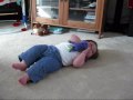videos de Frog and cat v2