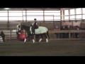 Goodells Equestrian Center 2009 Fun Freestyle Show