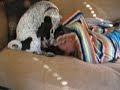 Traci Giggles With Bailey