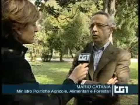 Guarda il video
