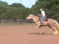 A Rare Pleasure and Mike Torturo of 3Drum trotting barrels with a rope around his neck. Oscar was a 3yr old when this video was taken.