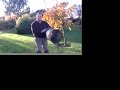Strengthening Lawns Strengthening Lawns