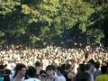 videos de A-Trak @ Field Day 2009, Sydney