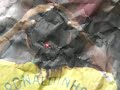 808nm IR Infra-red laser pointer demo 4 808nm IR Infra-red laser pointer demo 4