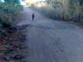 rally de baike... rally de baike...