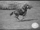 Salto ostacoli filmati degli anni 60