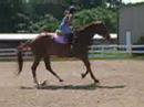 birthday girl riding guy