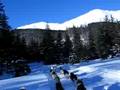 Dogsled Chicken