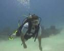 Jamaica Video