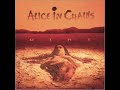 Alice In Chains - Rooster