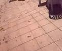 - Video divertenti - in piscina con S�Gepp���n