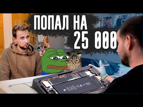 動画