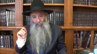N°82 (1/4) Première partie
La constitution du corps humain par les forces spirituels Yetser Hatov Y