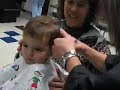 Little Barber of Seville