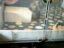 Movingbox 2