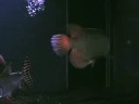 My previous Aro tank 3