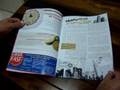 Revista Jardim Amália - 1ª Edição