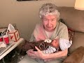 Great Grandma Falconer Great Grandma Falconer