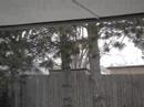 Snow Falling
