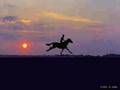 Knockin on Heaven`s Door