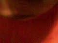 Thumbnail #3