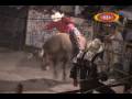 videos de Los Destructores vs Espuela de Oro de Jalisco