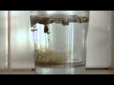 how to dissolve pills