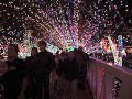 Rhema Christmas Bridge Rhema Christmas Bridge
