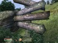 The Elder Scrolls IV: Oblivion test The Elder Scrolls IV: Oblivion test