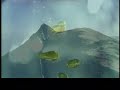 M83 Run Into Flowers music video