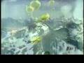 M83 Run Into Flowers music video