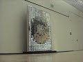 Mirrors mirror, Daniel Rozin