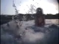 dog-paddle-style-competition.html