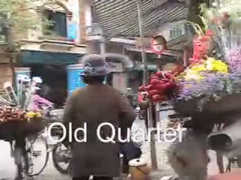 how to harvest vietnamese mint