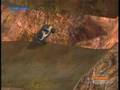 Halo2 Style