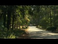 it's win, lose or draw for a georgia pawn shop owner when he is suddenly confronted by an armed robber.